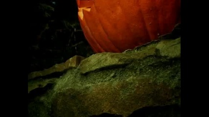 Minuscule 4.16 - Хелоуин параноя