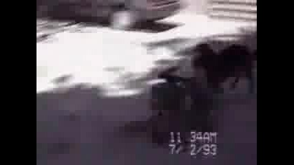 Смешни Кучета 2