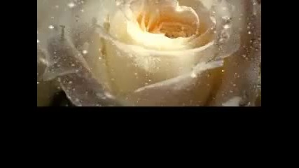 Richard Marx & Lara Fabian - Surrender to me 