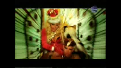 kamelia -