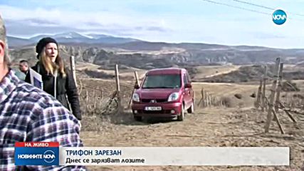 Трифоновден е