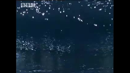 Bbc Nature Mega Tsunami - Alaskan Super Wave - Amazing Survival 