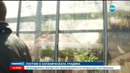 Погром в ботаническата градина в София