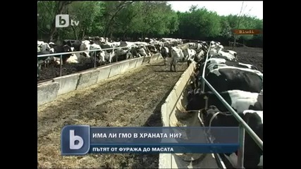 Г М О в храната ни