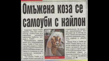 Трагедията На Месец Февруари