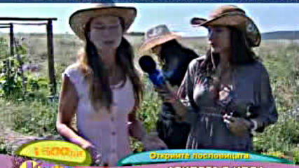 Родово селище, "на кафе" 2010-07-29 част 2