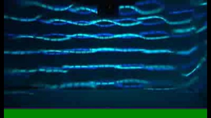 Disko Lights 1