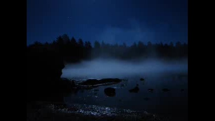 Sounds of Rain and Crickets