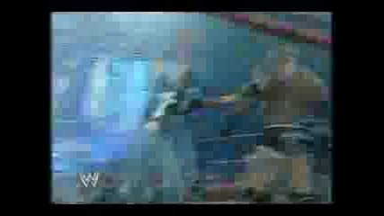 Wwe Fan Tribute