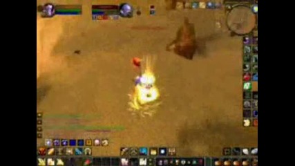 Paladin Pvp