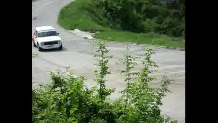Рали Вида 2008