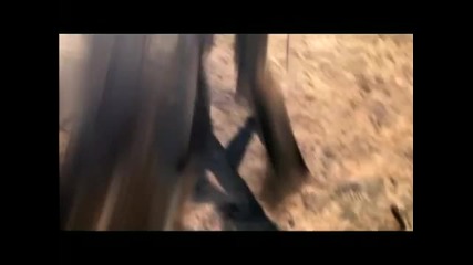 Final_fantasy_7_-_forgotten_amv_