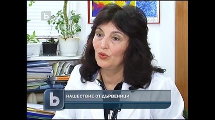 Дървеници нападнаха София 