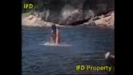 Ninja Movies 