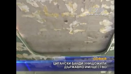 Цигански банди унищожават държавно имущество