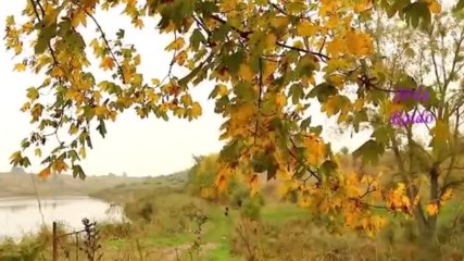 Осенний Шарм