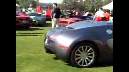 Bugatti Veyron & Saleen S7