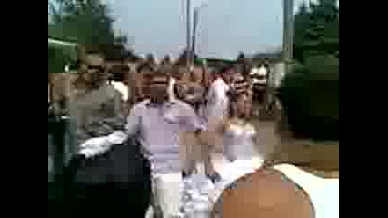 паула и саши 2011