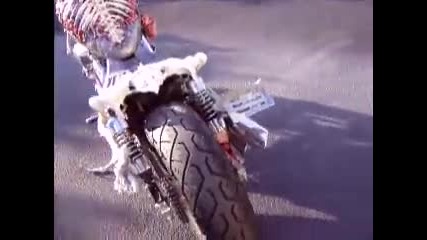 Skeleton Motorcycle 