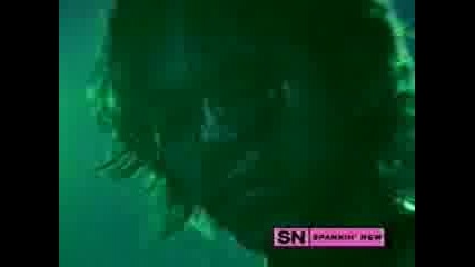 Zwan - Honestly