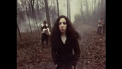 the witch 