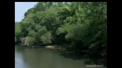 Yiruma - A Walk In The Forest