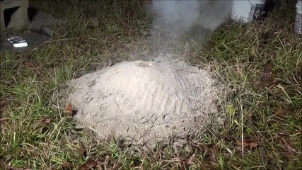 Мъж изсипва разтопен алуминий в мравуняк. Крайният резултат е изключителен (видео)