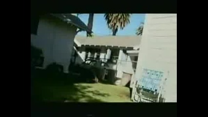 Vanessa On Robbery Homicide Division