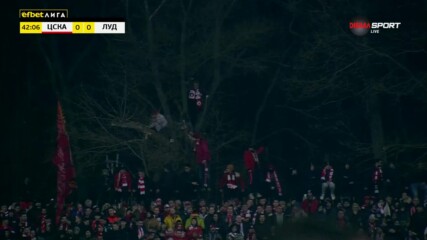Някои фенове на ЦСКА гледат от близките дървета