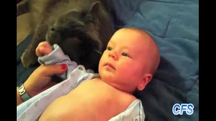 Cats love babies