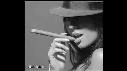 | • | Progressive House | • |