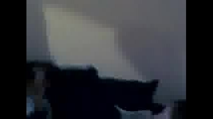 kuchek
