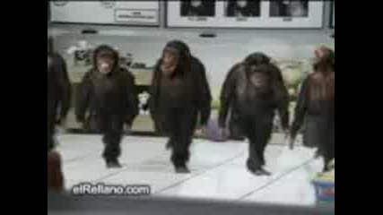 Маймунски Танц 