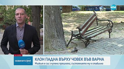 Клон падна върху мъж във Варна