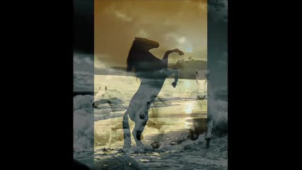 Любэ-конь