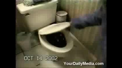 Funny accidents 