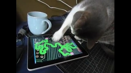 Котка си играе с ipad