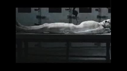 Sopor Aeternus - Dead Souls