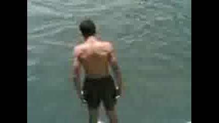 sadovec