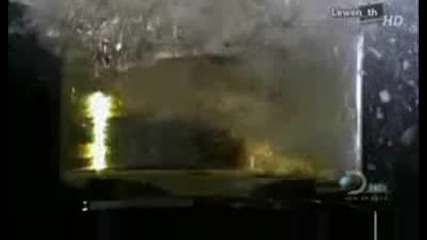 Най - Доброто От Time Warp
