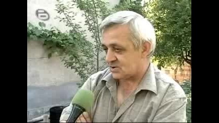 За мравките и земетресенията