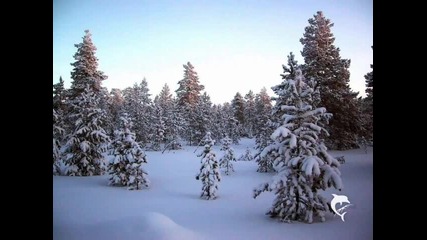 группа Бумер - Молитва