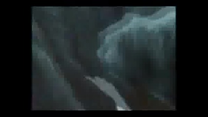 Wolfs Rain_ Angel of darkness