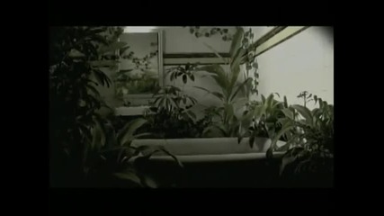 Lu - La vida despues de ti
