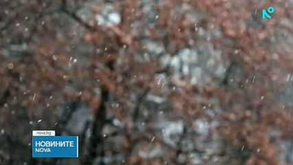Жълт код за мразовито време в почти цялата страна. В Плевенско денят е неучебен
