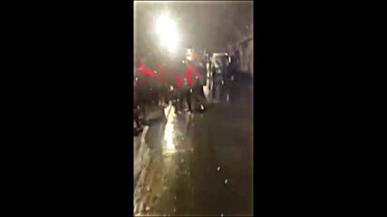 Кадри след ужасяващия инцидент за "лъвовете" в Грузия