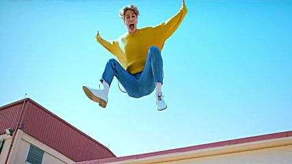 Cross Gene - Fly