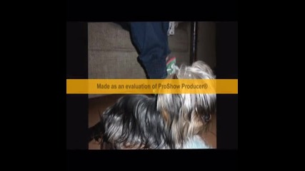 fredko moeto ku4e 2 chast!! 