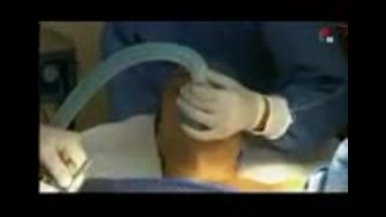 Triunfo del amor capitulo 107, 2010