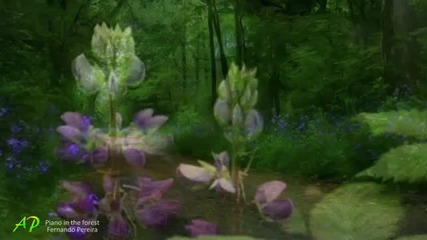 Piano in the forest-relaxing music